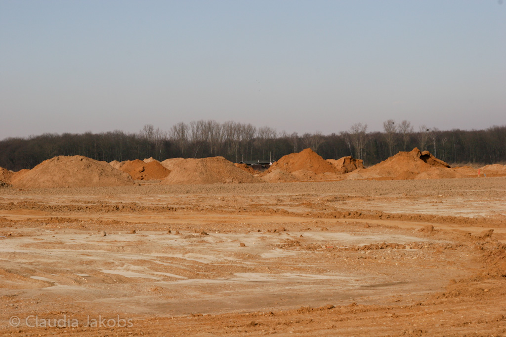 120205121245 IMG 1556