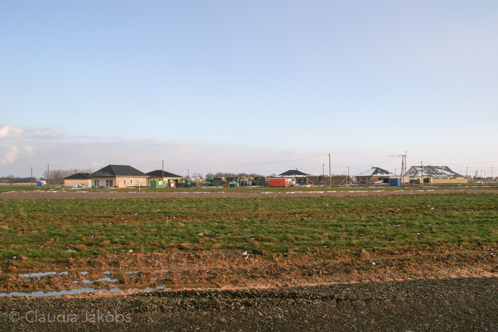 130209172426 IMG 4346