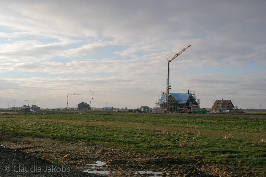 130209172932 IMG 4350