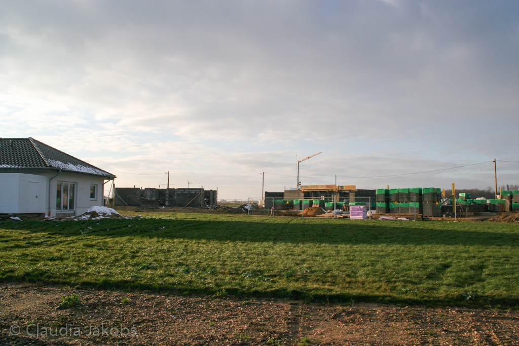 130209173307 IMG 4355