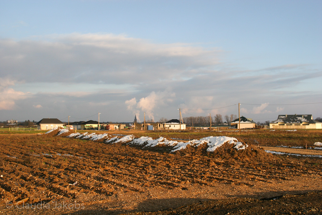 130209174413 IMG 4364