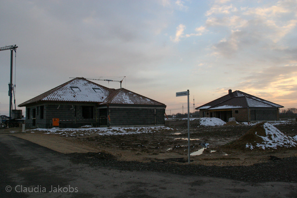 130209181319 IMG 4373