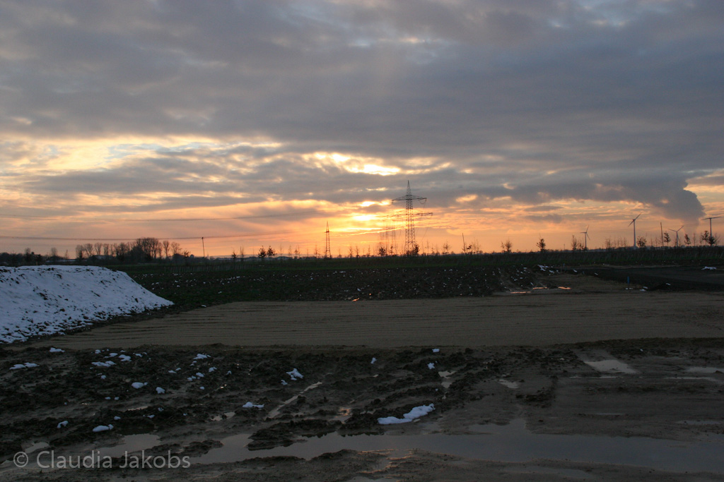 130209181703 IMG 4379