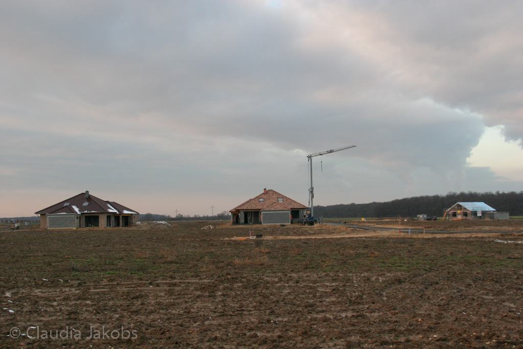 130209181948 IMG 4387