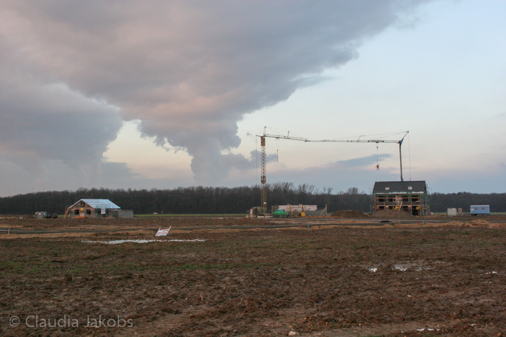 130209181955 IMG 4388