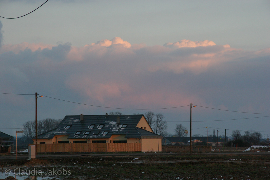 130209182448 IMG 4397