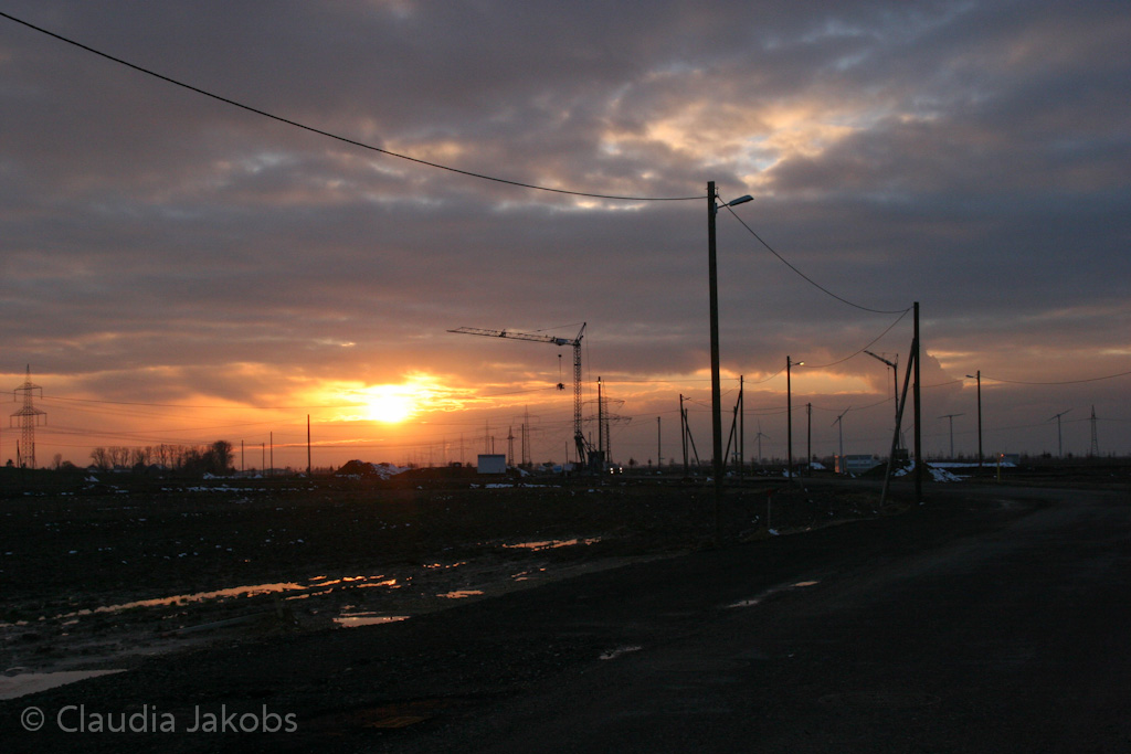 130209182614 IMG 4400