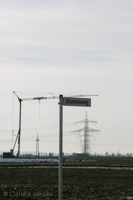 130210154011 IMG 4415