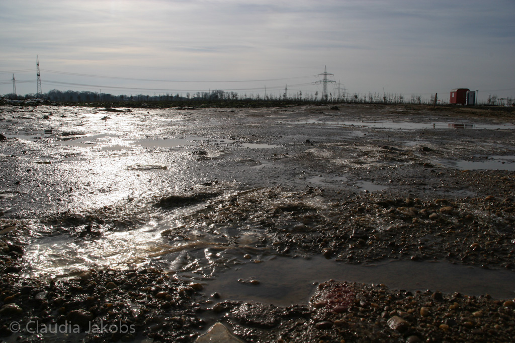 130210155034 IMG 4423