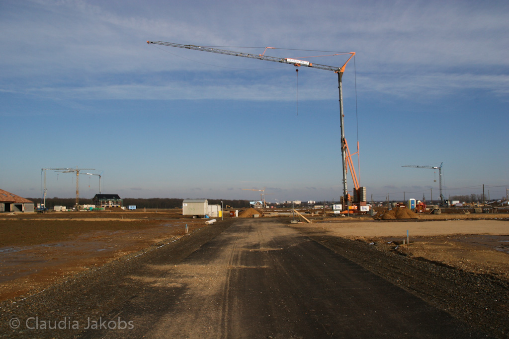 130210155353 IMG 4426