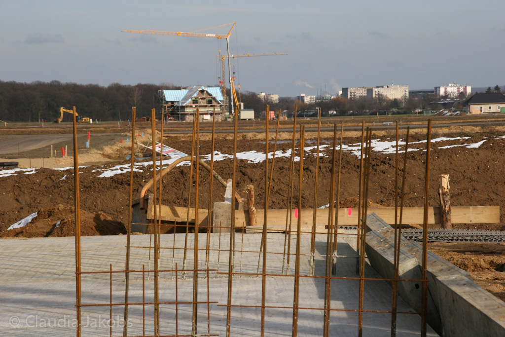 130210155541 IMG 4429