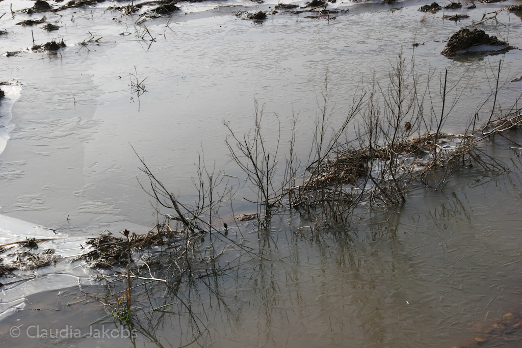 130210161453 IMG 4436