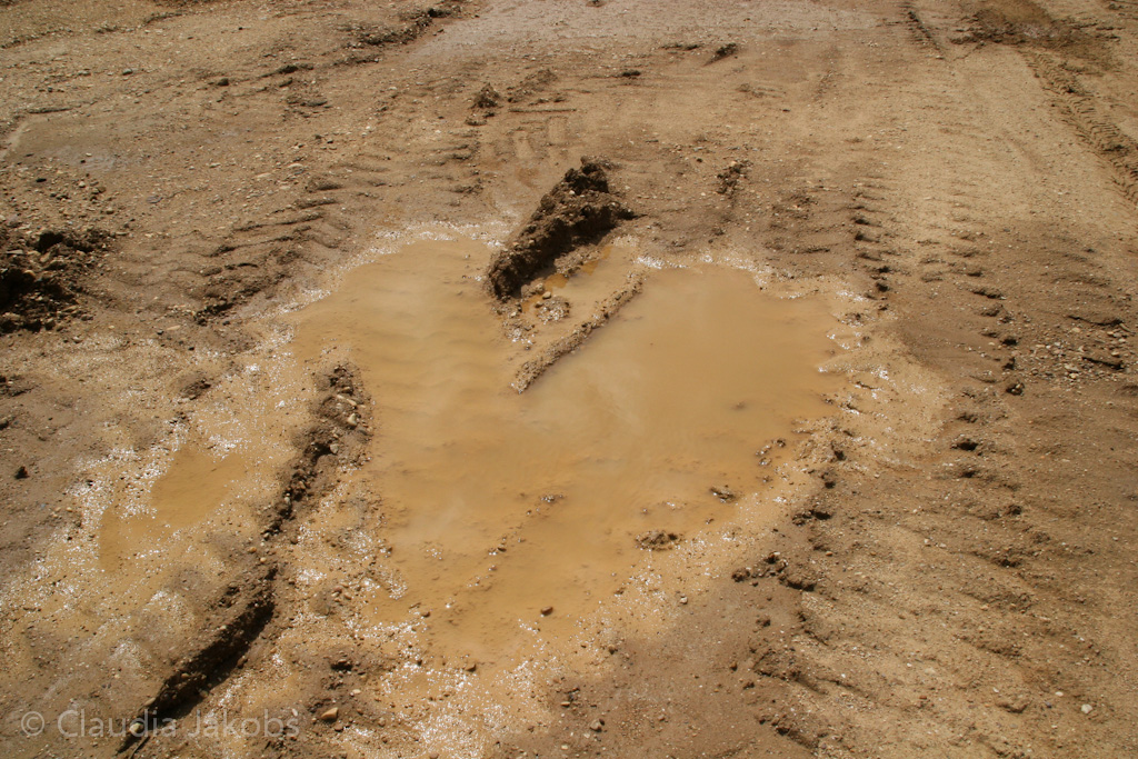 120722133021 IMG 3041