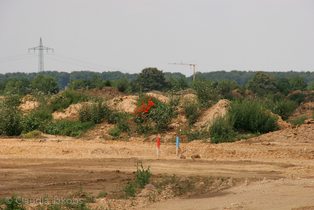 120722135320 IMG 3065