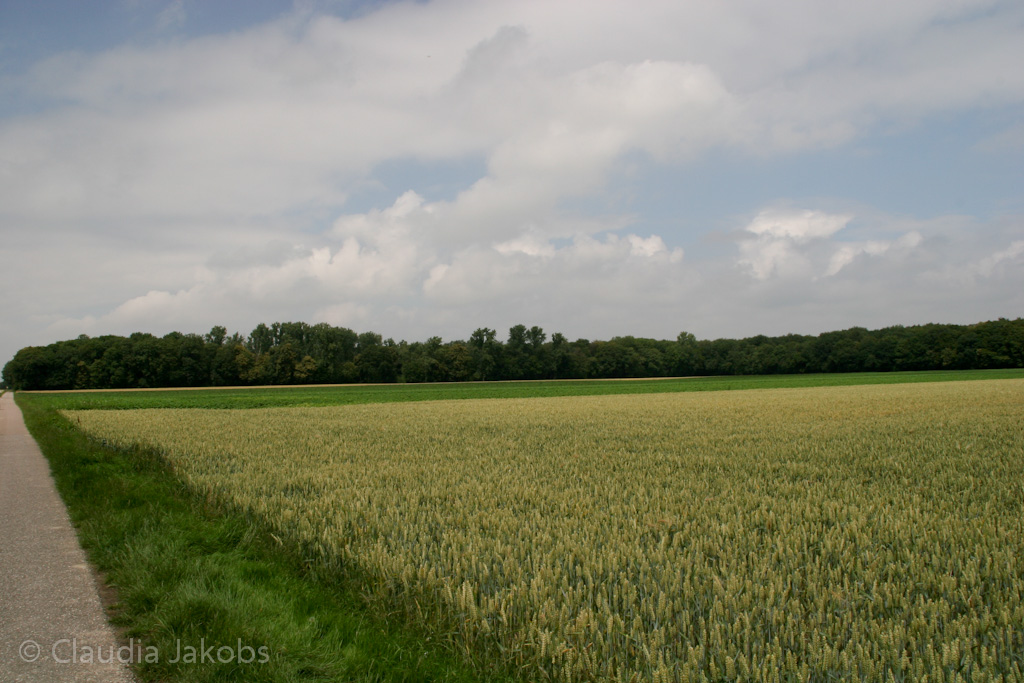 110626132124 IMG 6948