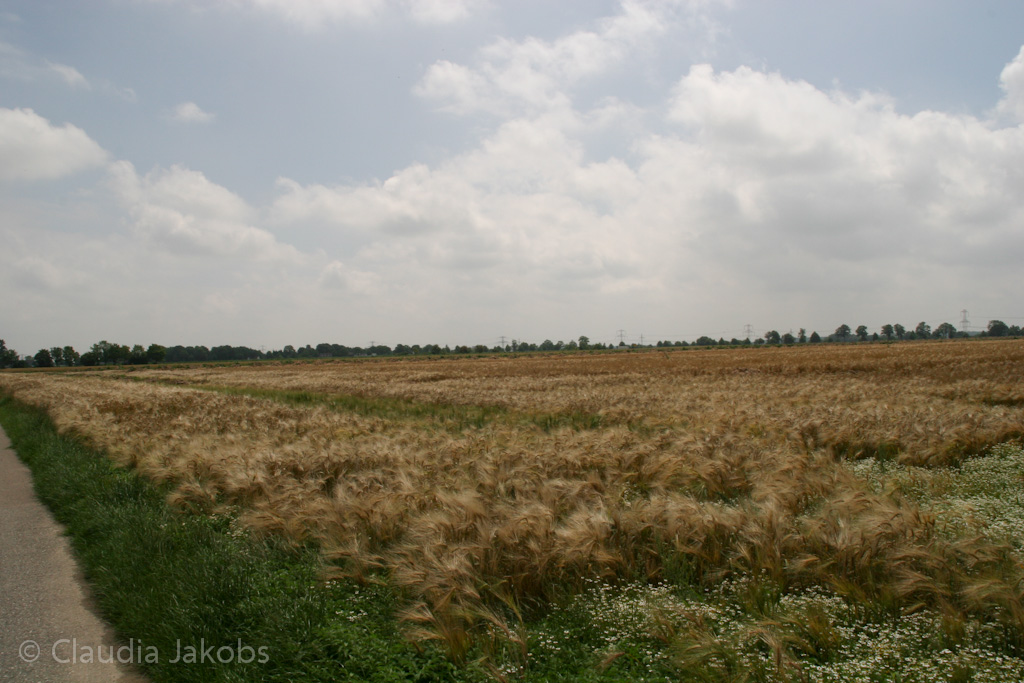 110626132208 IMG 6951