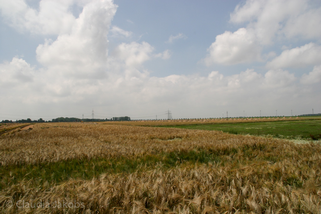 110626132243 IMG 6954