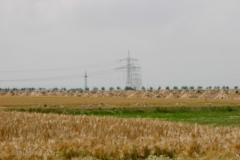 110626132246 IMG 6955