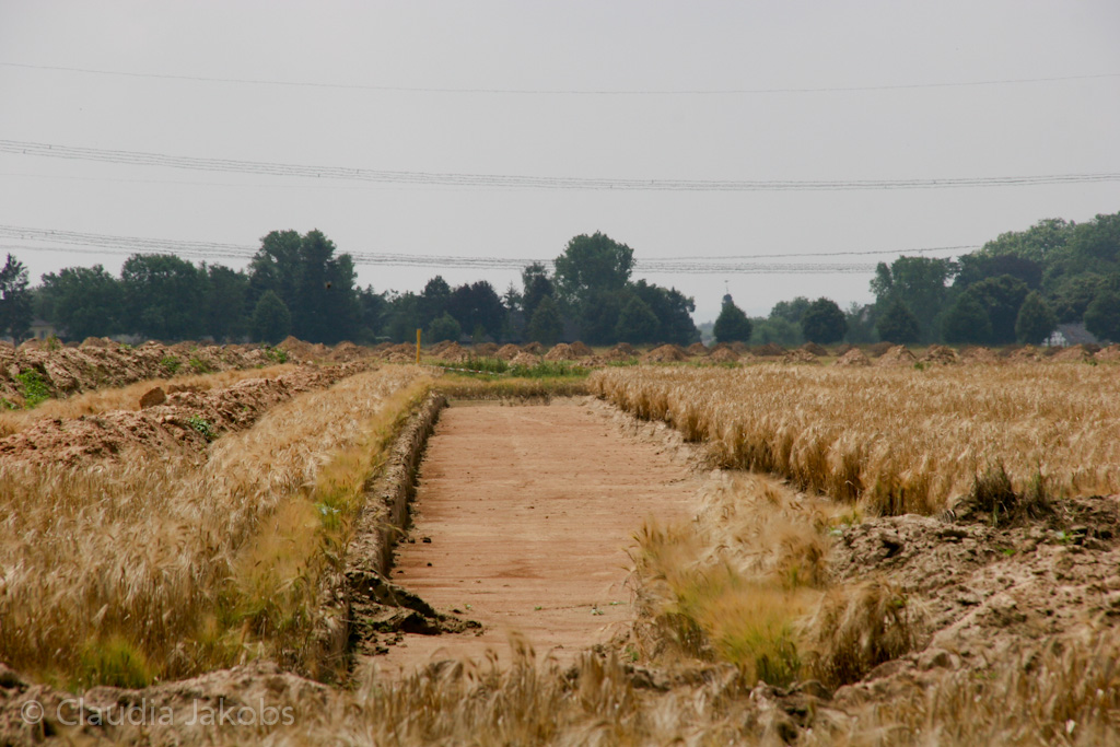 110626132257 IMG 6956