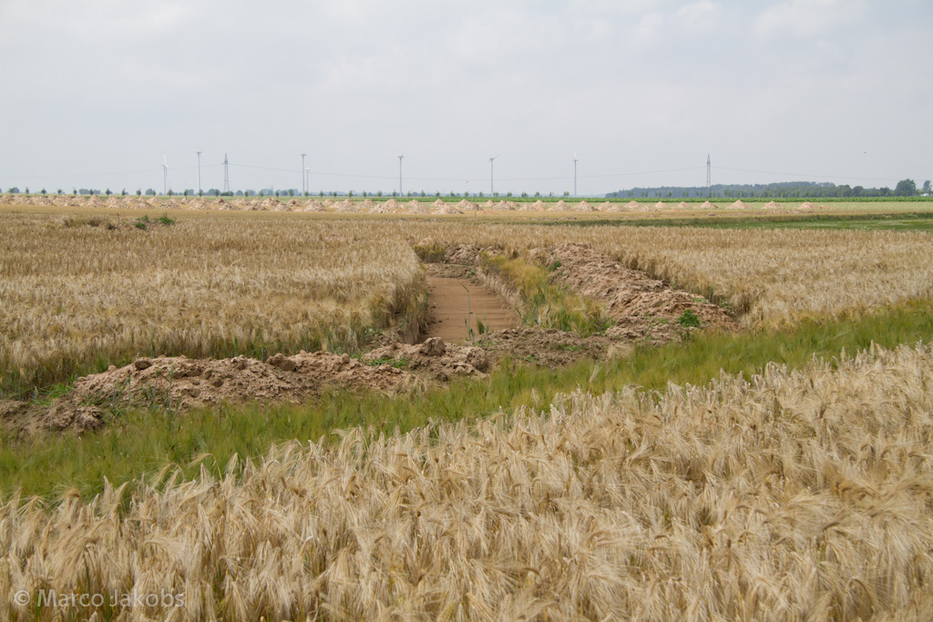 110626132455 IMG 4371