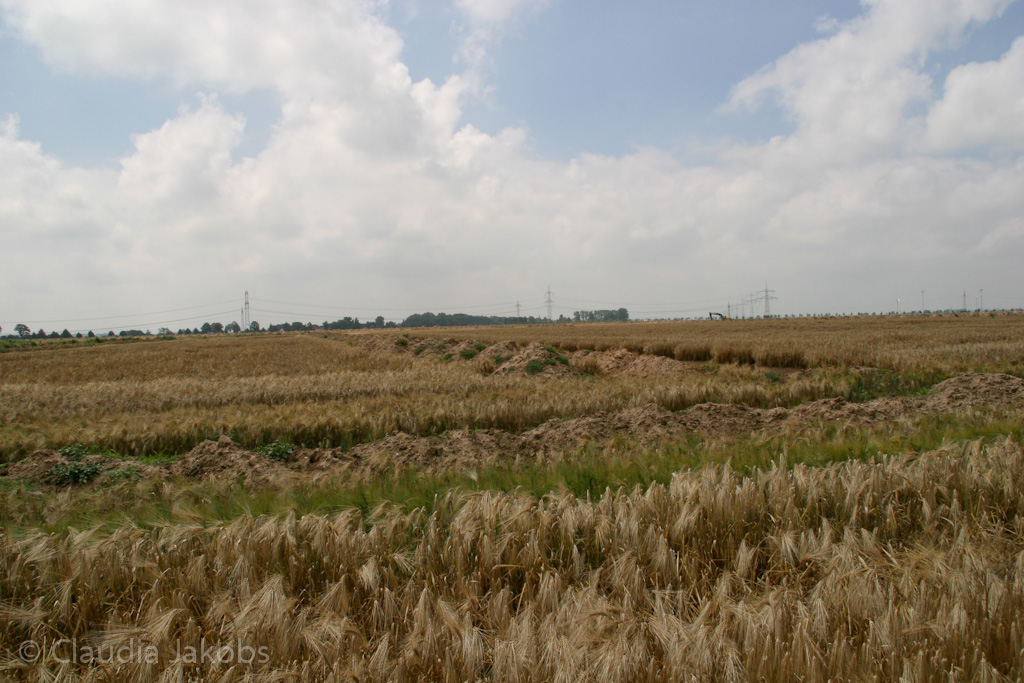 110626132638 IMG 6970