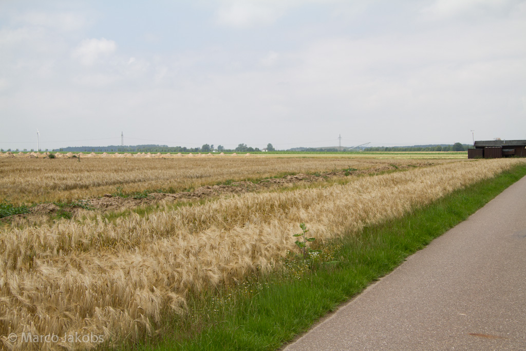 110626132705 IMG 4376