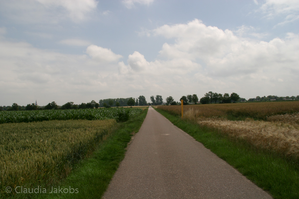 110626132807 IMG 6974