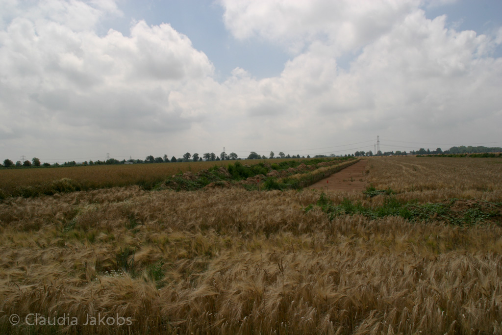 110626132821 IMG 6975