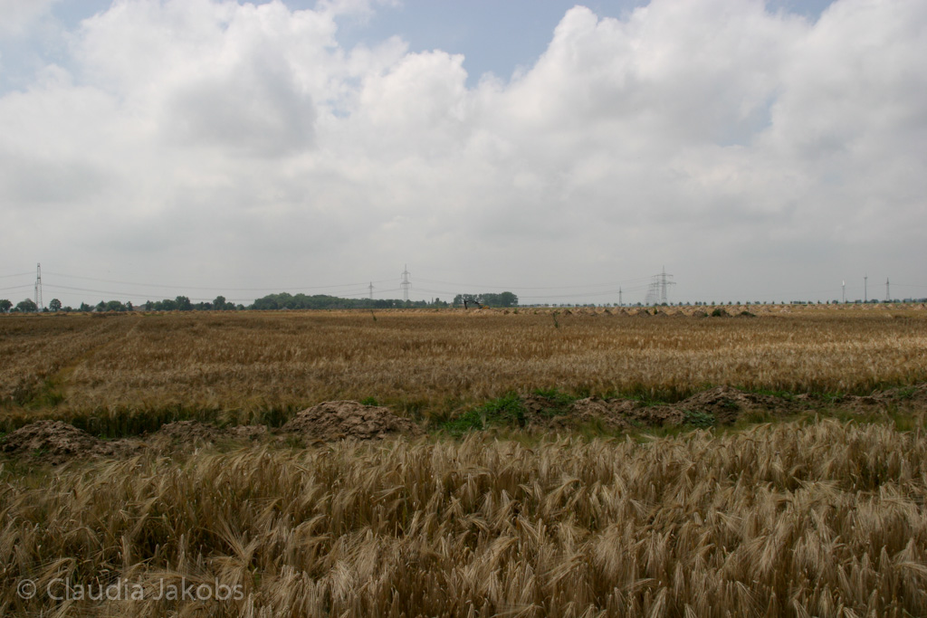 110626133034 IMG 6977