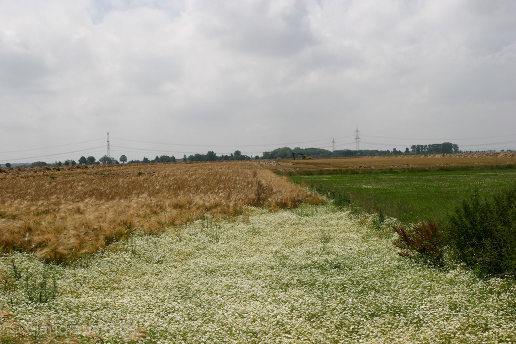 110626133159 IMG 6979