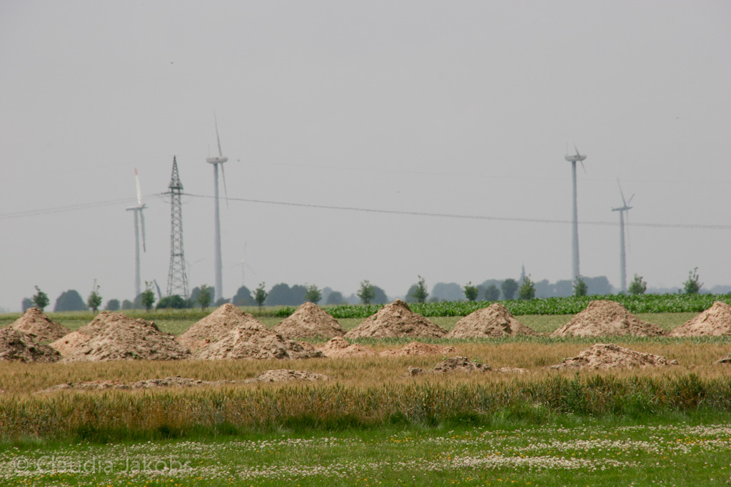 110626133337 IMG 6984