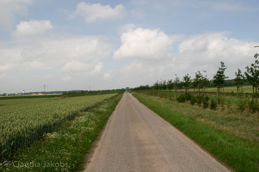 110626133827 IMG 6985