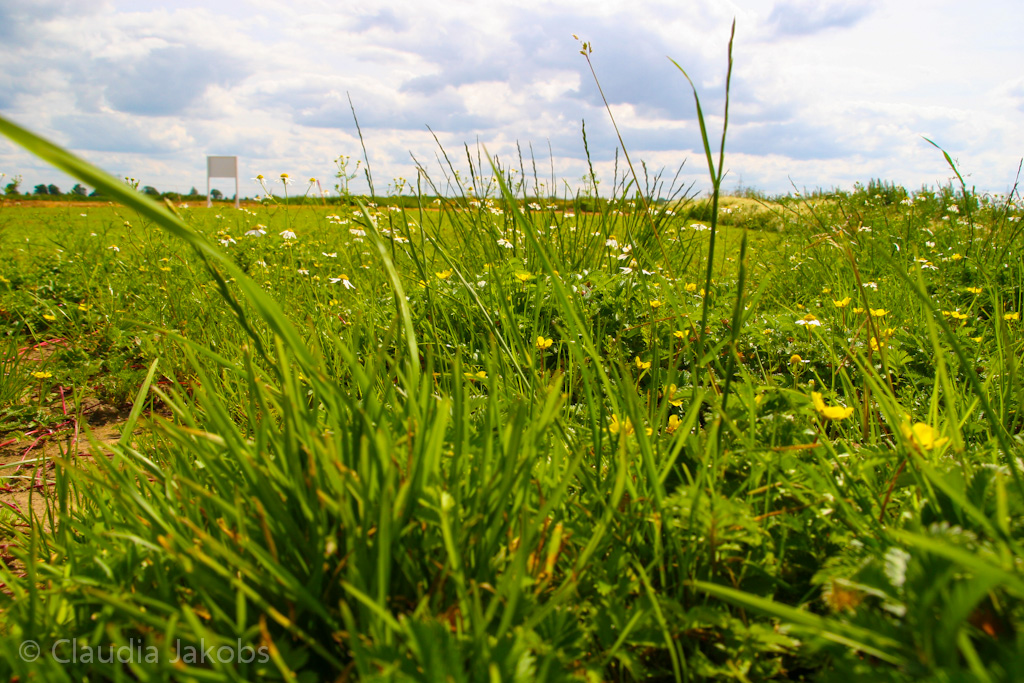 120623155900 IMG 2802