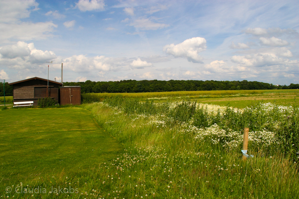 120623160017 IMG 2804