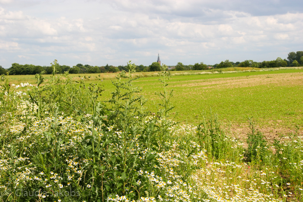 120623160025 IMG 2805