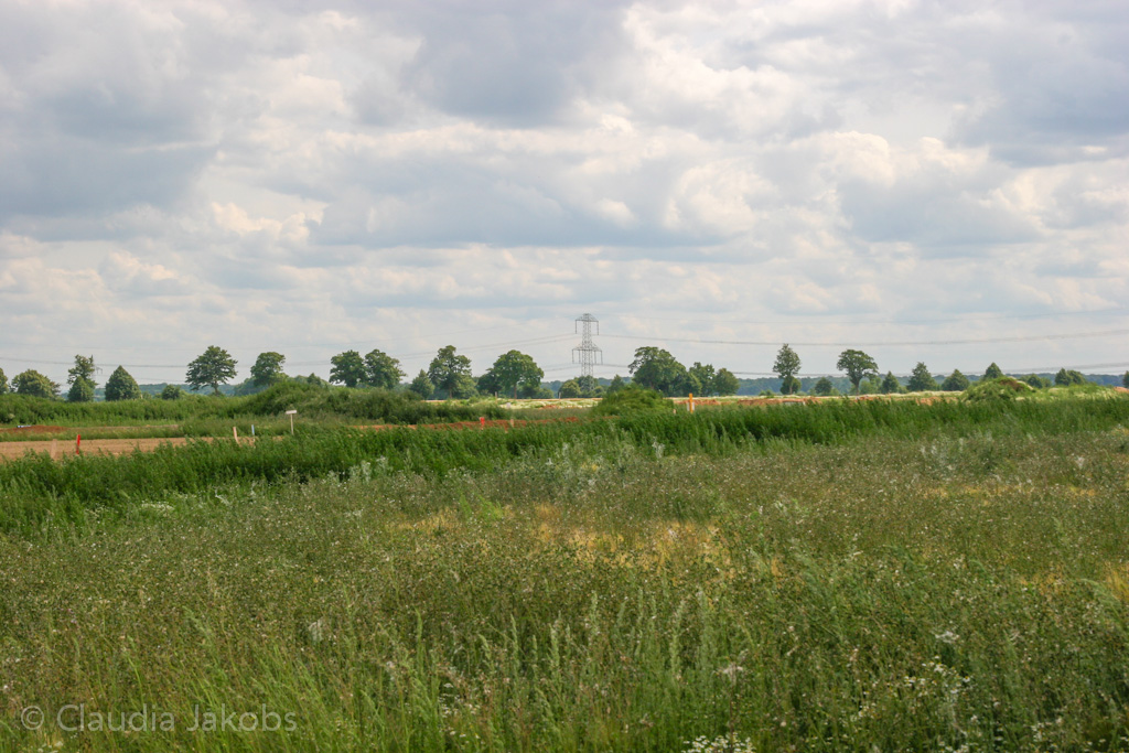 120623160256 IMG 2814