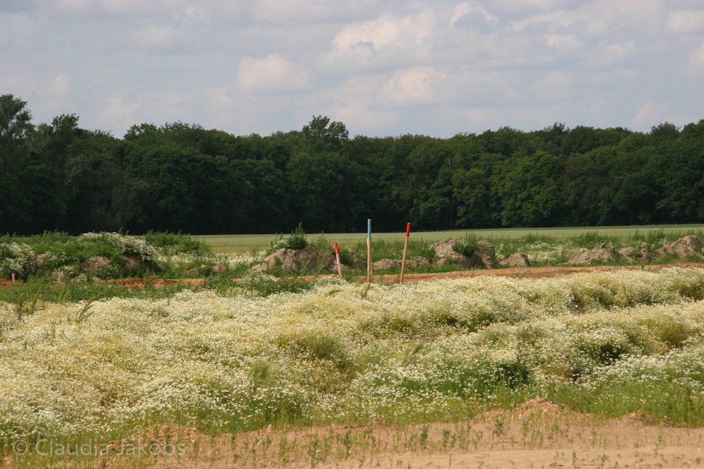 120623160822 IMG 2826