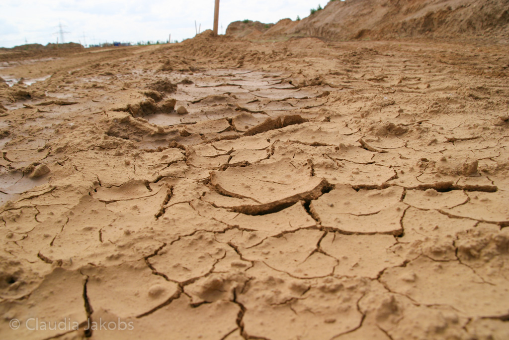 120623161753 IMG 2840