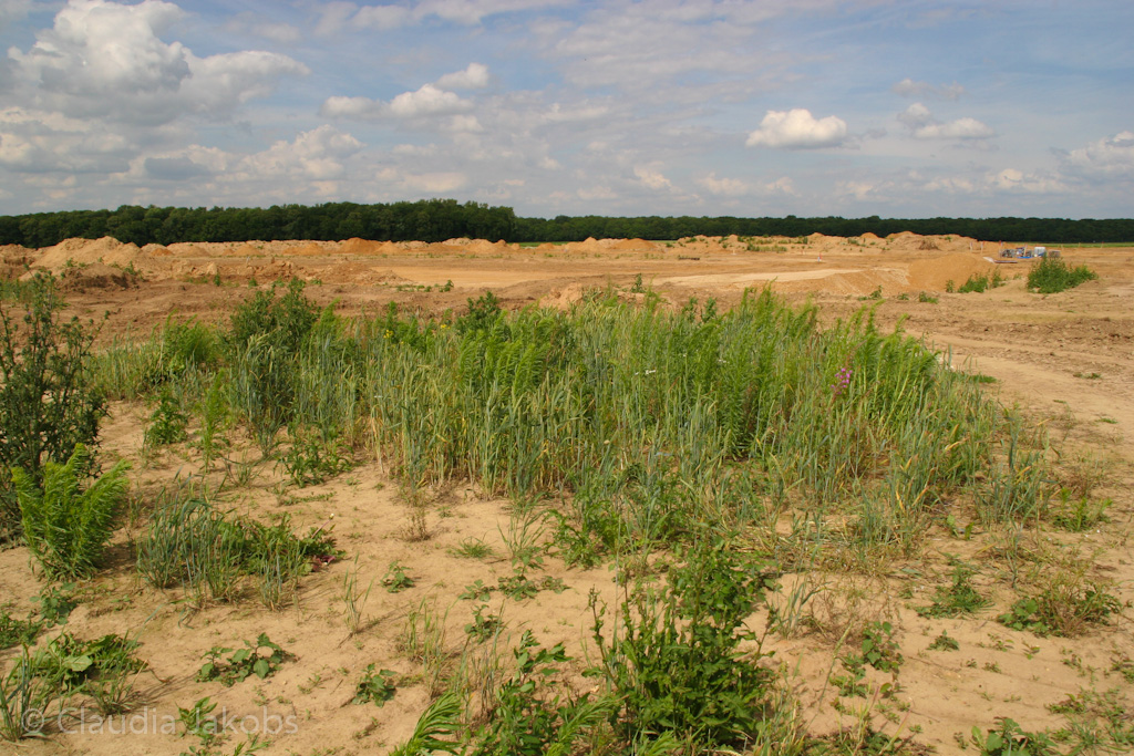 120623162433 IMG 2849