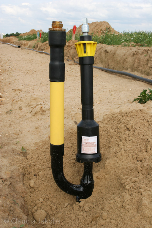 120623164345 IMG 2873