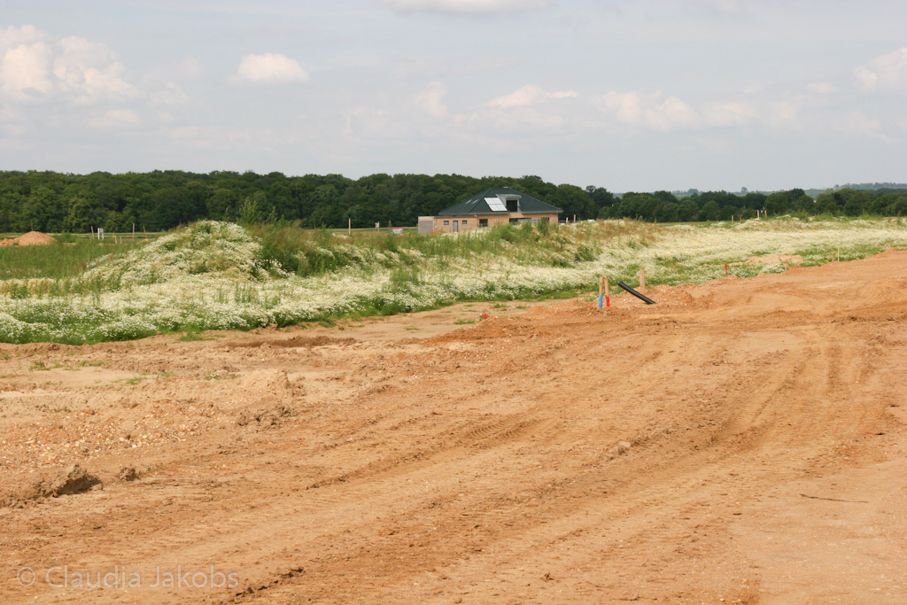 120623164622 IMG 2876