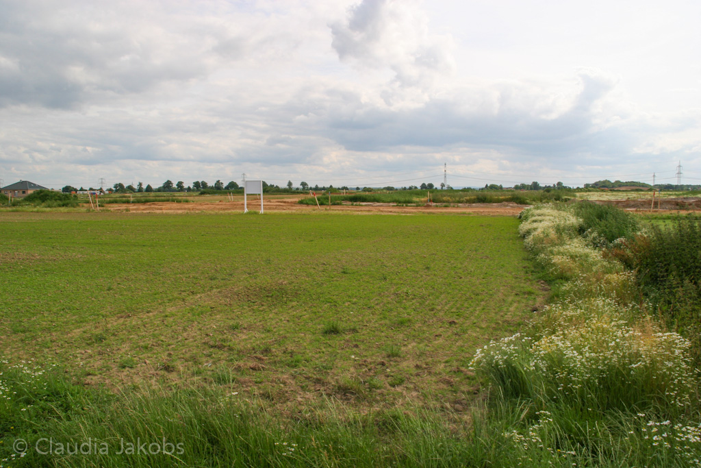 120623171139 IMG 2910