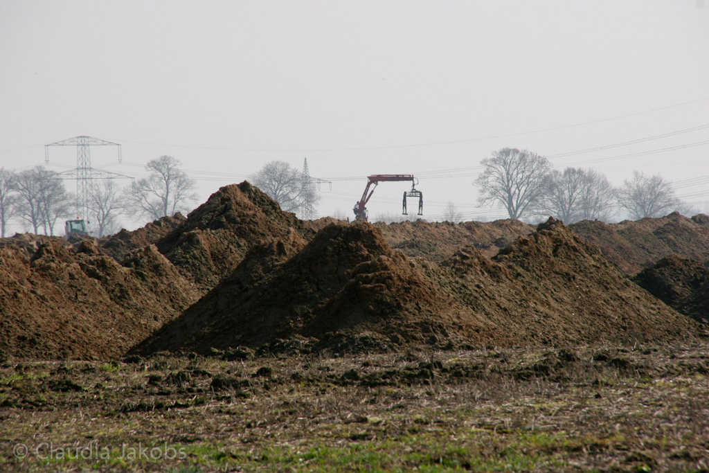 120316134611 IMG 1611