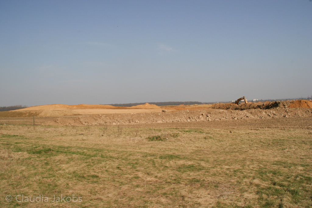 120316134943 IMG 1619