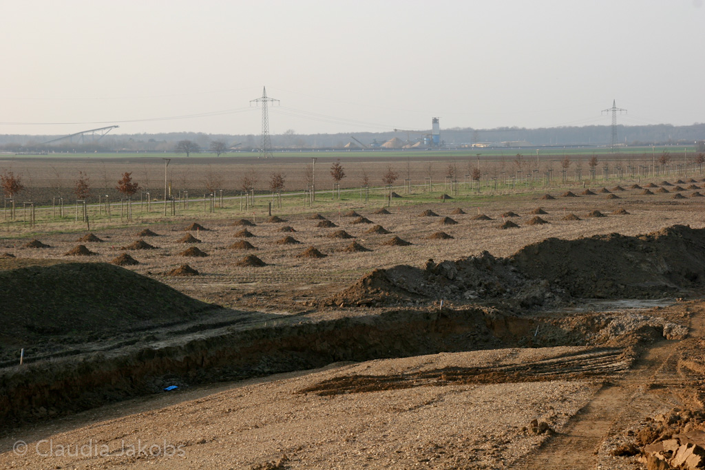 120316170736 IMG 1642