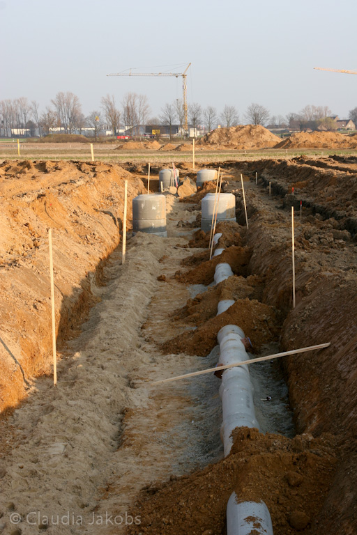 120316171738 IMG 1656