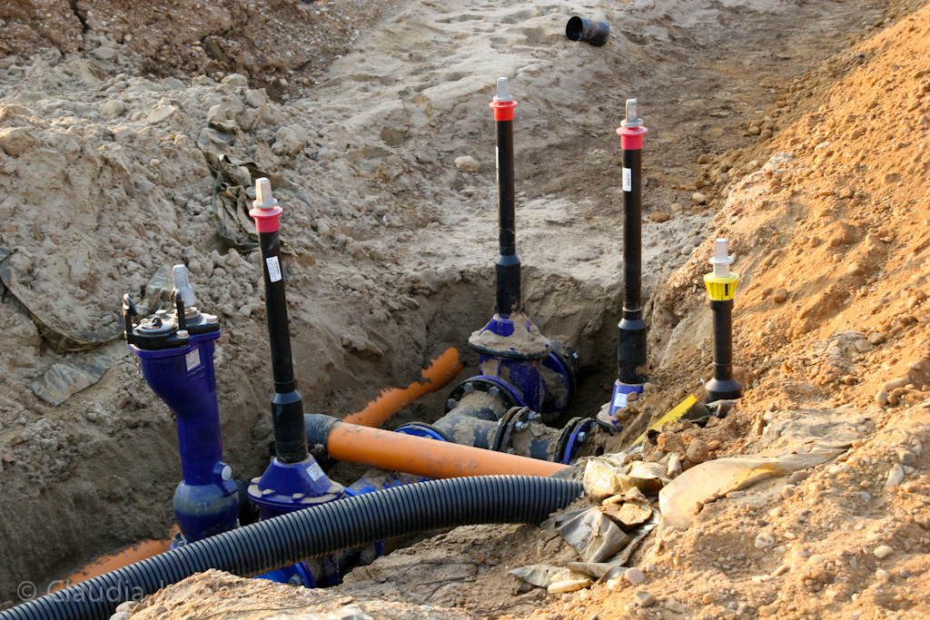 120316173602 IMG 1697