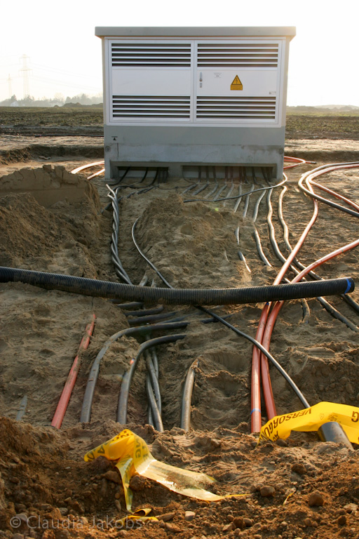 120316173658 IMG 1699