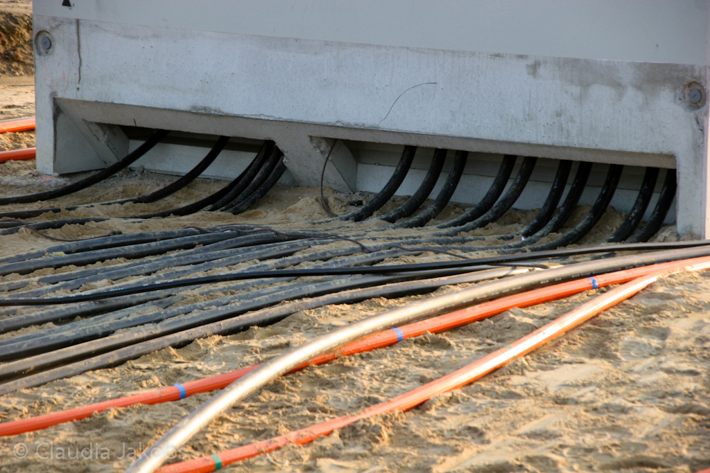 120316173715 IMG 1700