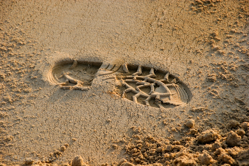 120316173821 IMG 1702